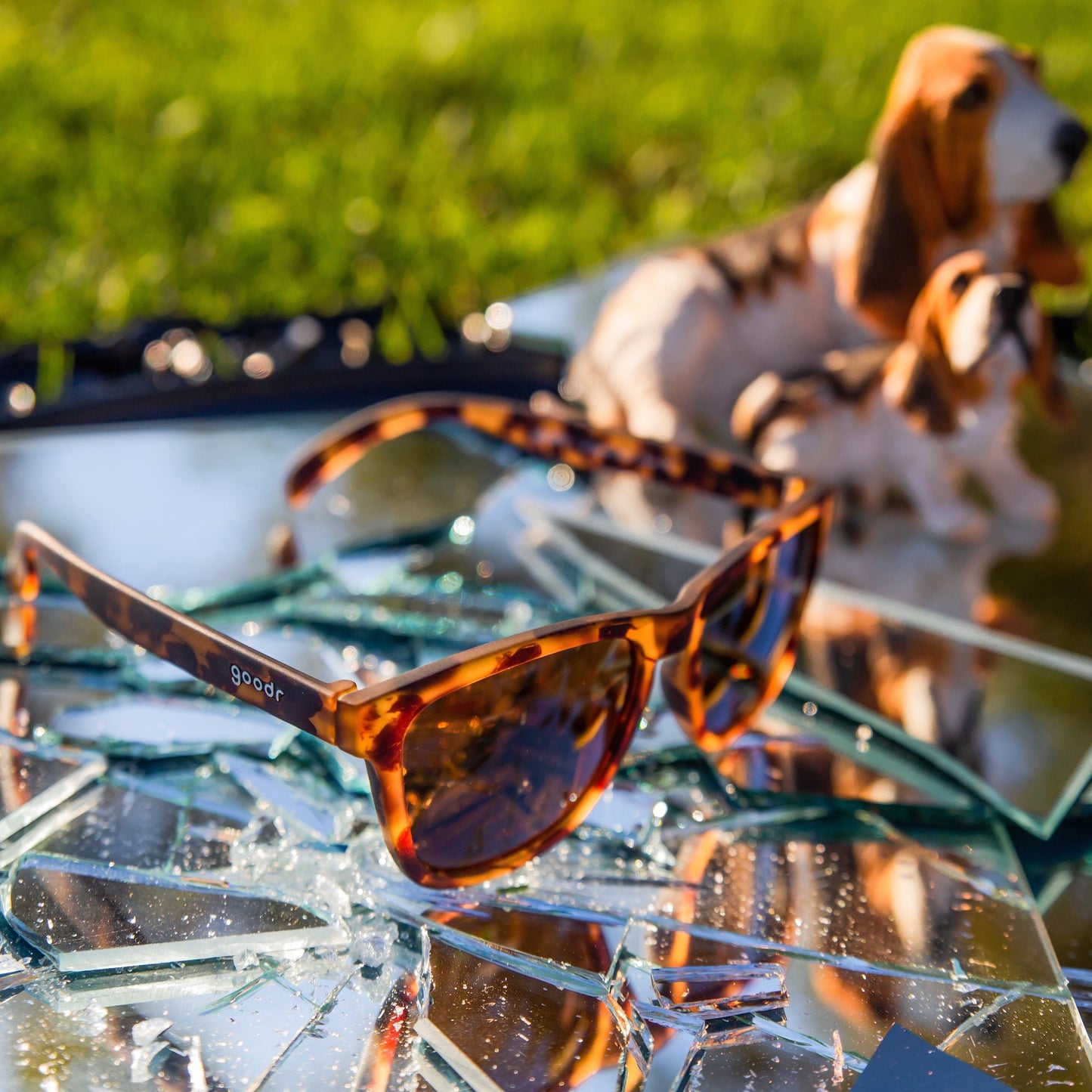 【OG】BOSLEY’S BASSET HOUND DREAMS