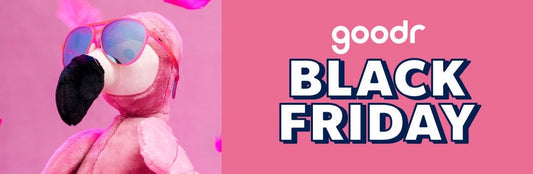 BLACK FRIDAY!! サングラスをお得にゲットしよう！