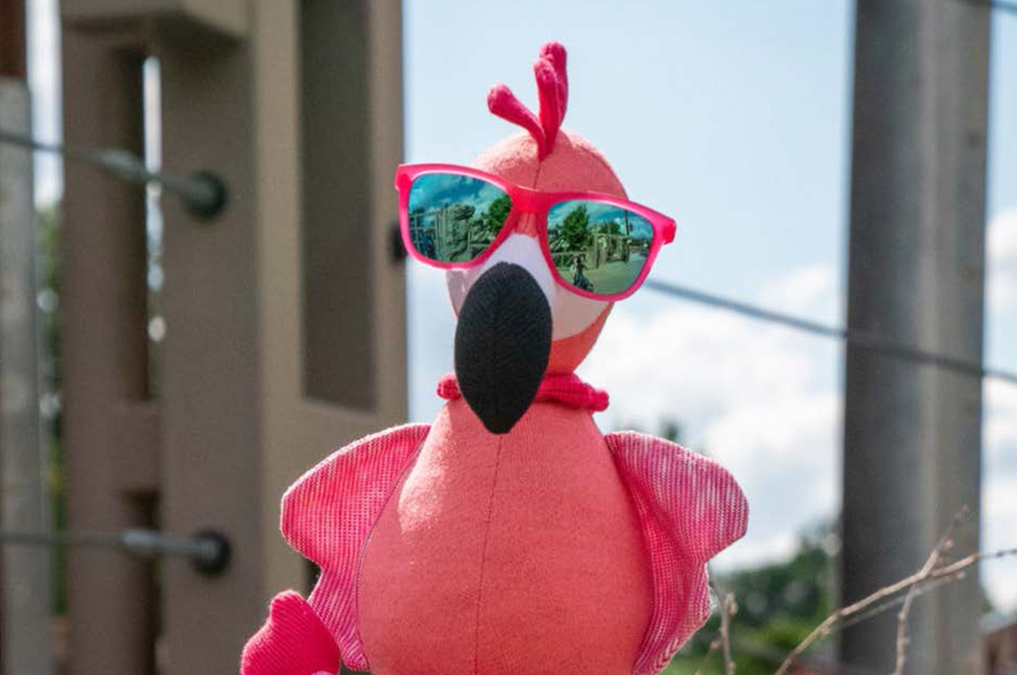 公式】goodr スポーツサングラス – 【公式】goodr | グダー