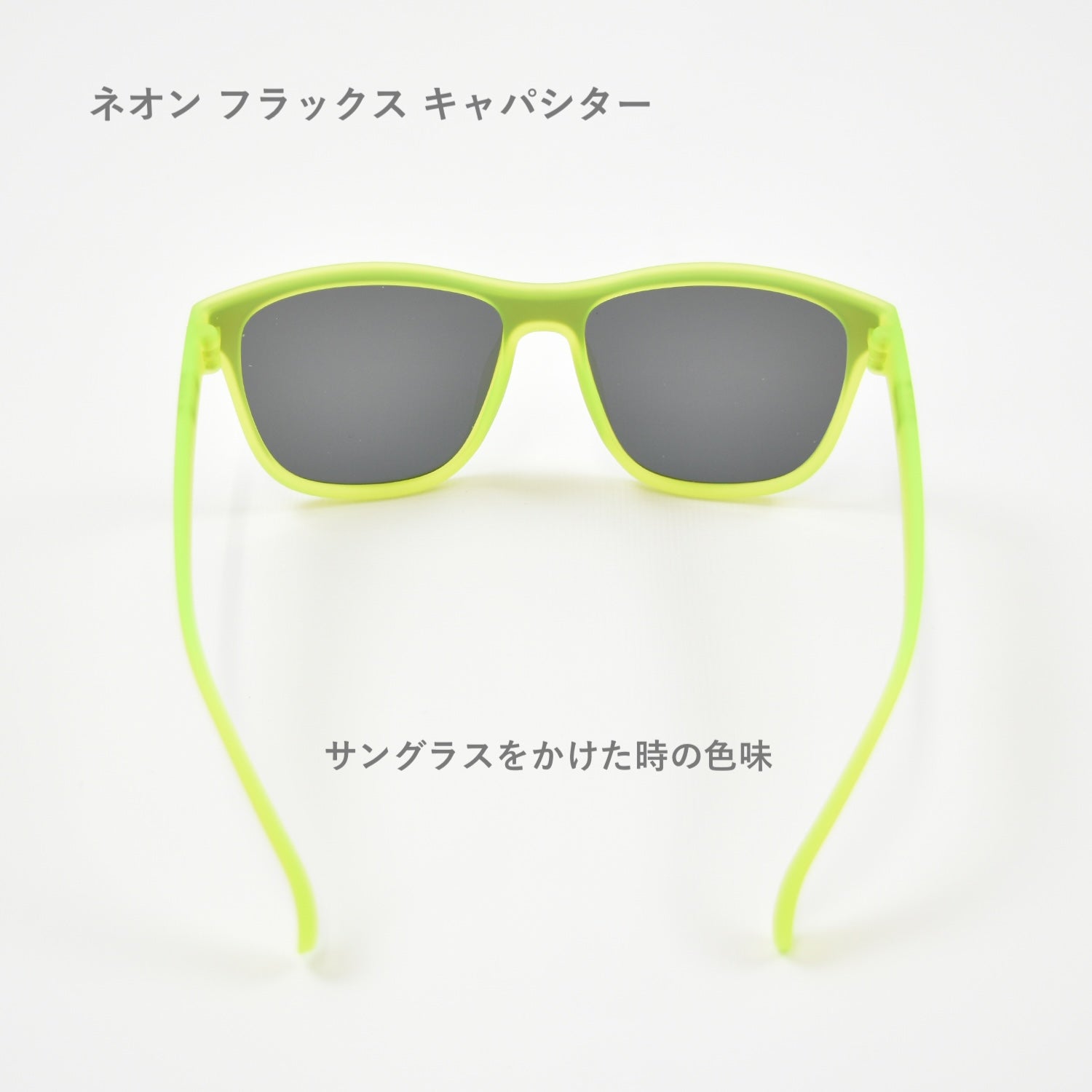 スクチェンモルネク 全盛期】モルネク史上