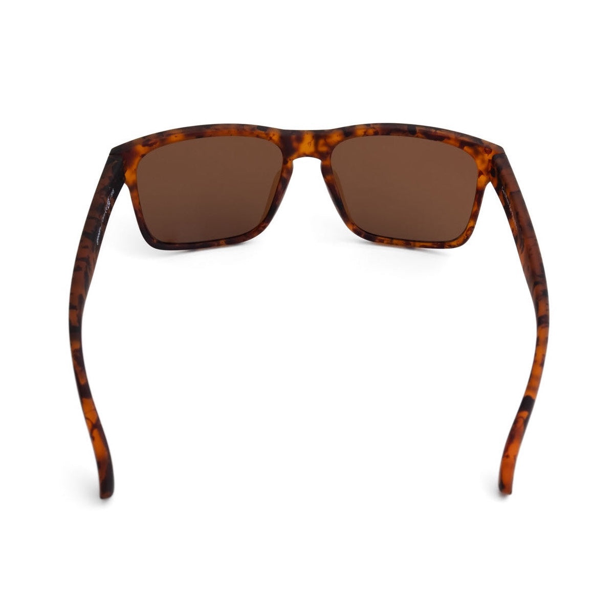 1/16販売開始【GRAND G】CERTIFIED PET PSYCHIC