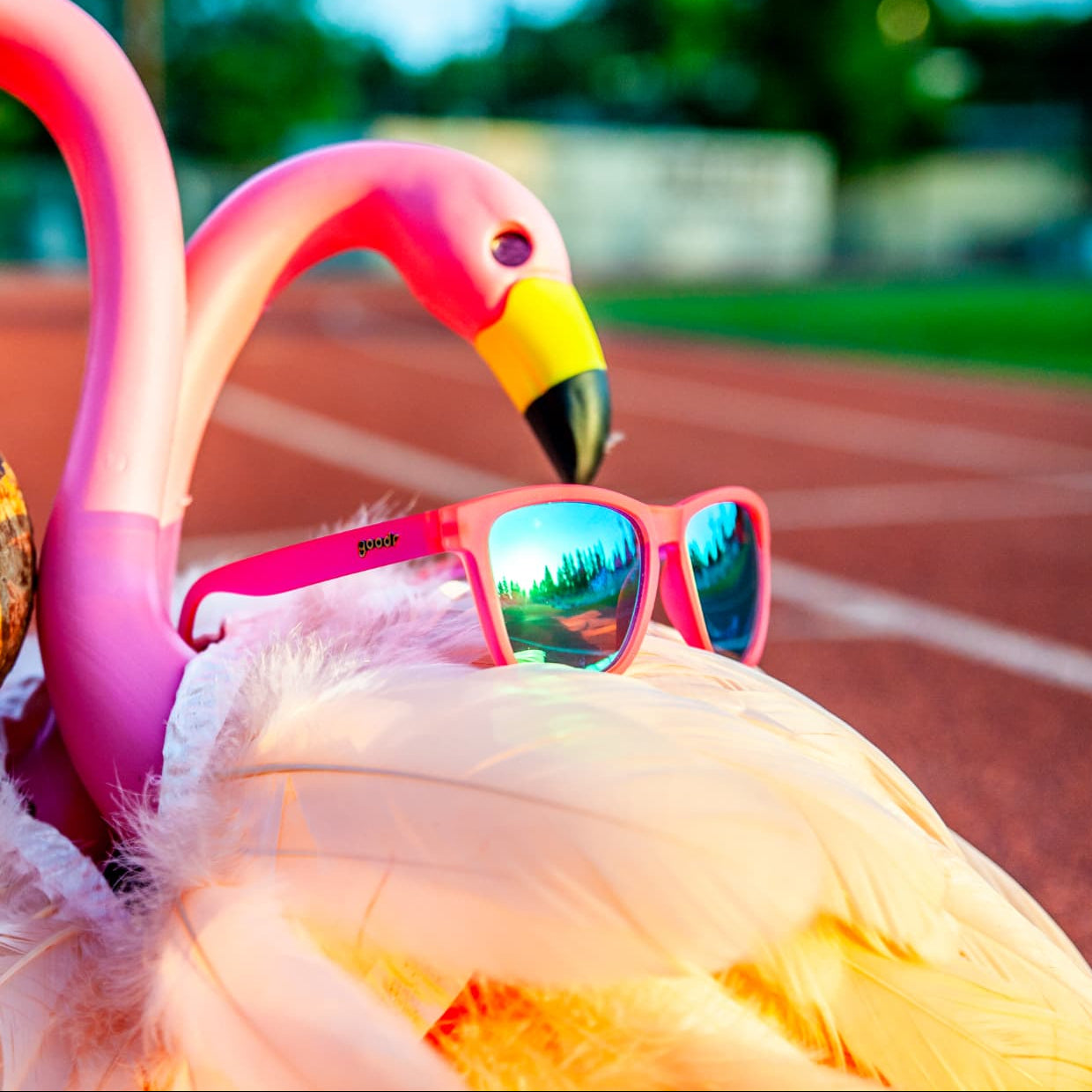 Flamingos On a Booze Cruise | goodrランニングスポーツサングラス