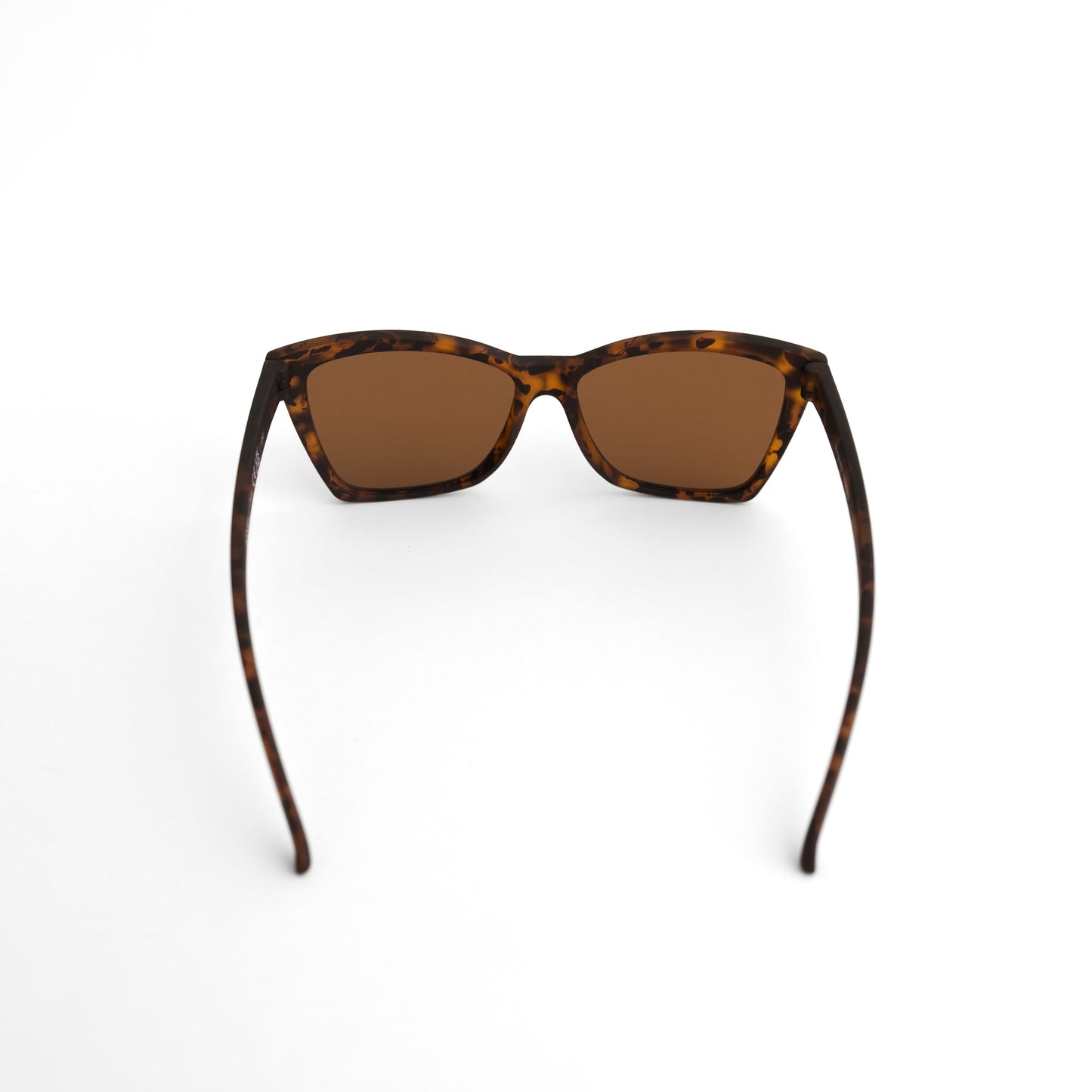 11/21販売開始予定【POP G】VANGUARD VISIONARY