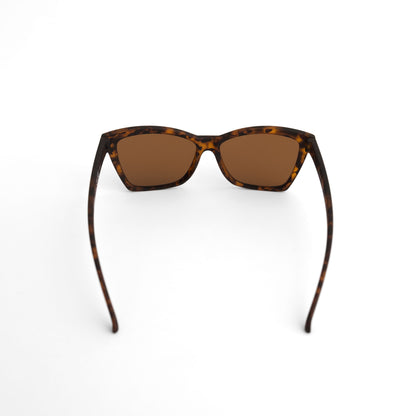 11/21販売開始予定【POP G】VANGUARD VISIONARY