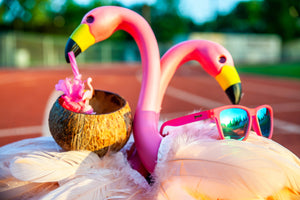 goodr(グダー)ランニングスポーツサングラス OGs Flamingos on a Booze Cruise